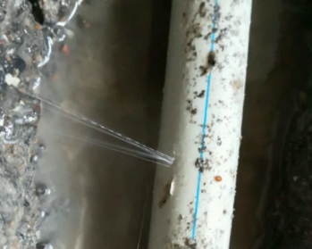 鹤岗卫生间测漏水多少钱