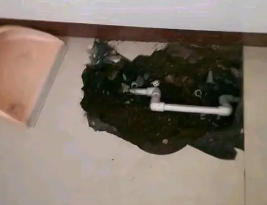 鹤岗卫生间测漏水多少钱
